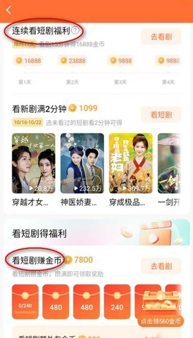 麦沁芙:创新与传统的完美融合